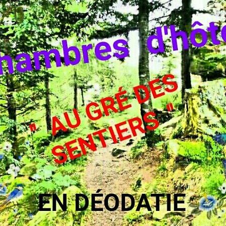 Au Gre Des Sentiers Chez Marie Et Pierre Bed & Breakfast Saint-Die-des-Vosges Ngoại thất bức ảnh