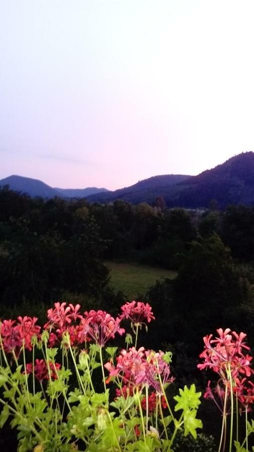 Au Gre Des Sentiers Chez Marie Et Pierre Bed & Breakfast Saint-Die-des-Vosges Ngoại thất bức ảnh