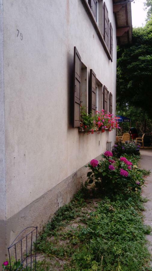 Au Gre Des Sentiers Chez Marie Et Pierre Bed & Breakfast Saint-Die-des-Vosges Ngoại thất bức ảnh