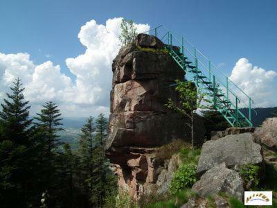 Au Gre Des Sentiers Chez Marie Et Pierre Bed & Breakfast Saint-Die-des-Vosges Ngoại thất bức ảnh