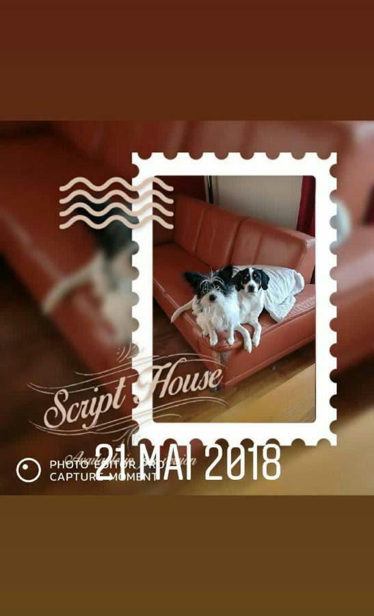 Au Gre Des Sentiers Chez Marie Et Pierre Bed & Breakfast Saint-Die-des-Vosges Ngoại thất bức ảnh